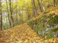 /album/fotogalerie-hrad-krivoklat-narodni-kulturni-pamatka/pesi-turistika-na-krivoklatsku-a-rakovnicku-vychazkovy-okruh-sokoli2-jpg1/